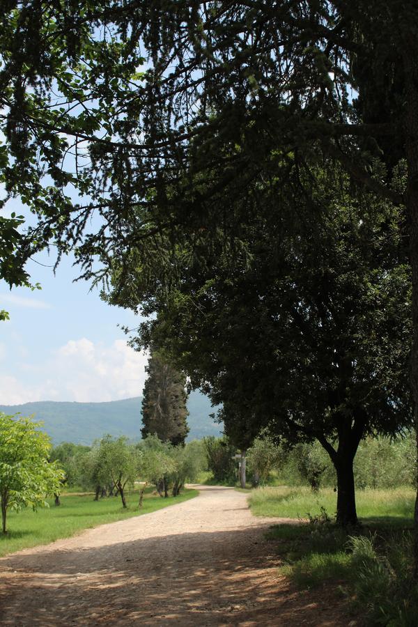 La Cascianella Villa Флоренция Екстериор снимка